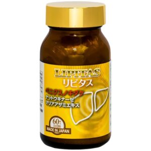00029360 lipitas jpanwell 60v 4493 6006 large